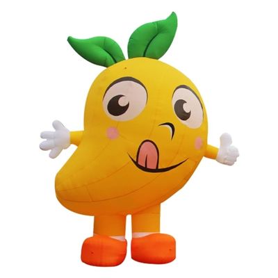 광고용 눈길을 끄는 부풀이 딸기와 레몬 모델 CE 인증서