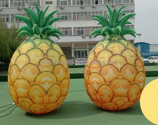 우리의 펌프식 치아 모델 CE 블로어 및 수리 액세서리 포함