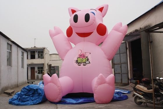 우리의 펌프식 치아 모델 CE 블로어 및 수리 액세서리 포함