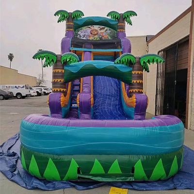 슬라이드와 수영장 슬라이드와 함께 펌플 가능한 열대우림 성