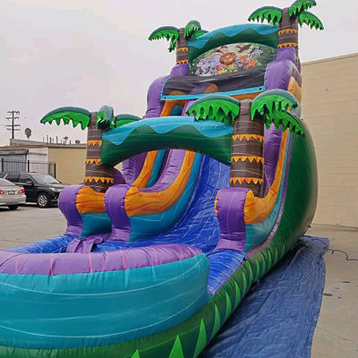 슬라이드와 수영장 슬라이드와 함께 펌플 가능한 열대우림 성