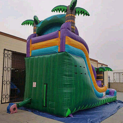 슬라이드와 수영장 슬라이드와 함께 펌플 가능한 열대우림 성