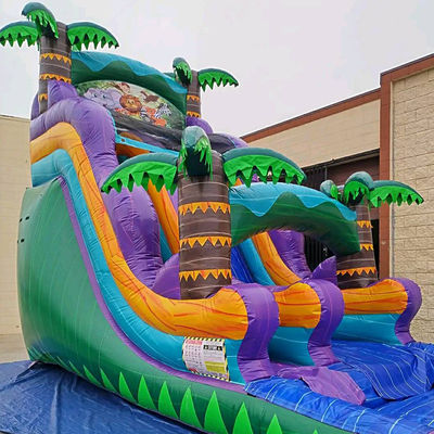 슬라이드와 수영장 슬라이드와 함께 펌플 가능한 열대우림 성