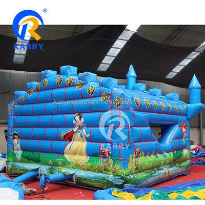 14 년 이상 야외 어린이 놀이 장비 슬라이드와 함께 부풀 수 있는 반짝이는 집