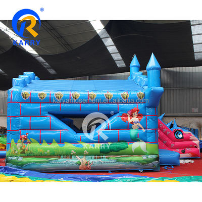 14 년 이상 야외 어린이 놀이 장비 슬라이드와 함께 부풀 수 있는 반짝이는 집