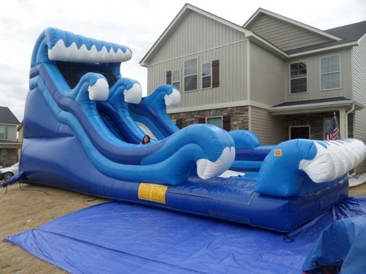 18ft PVC 파란색 수영장 카리 열대 점프 점프 성과 함께 풍선 물 슬라이드