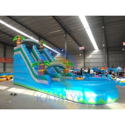 0.55mm PVC 텐포린 뒷마당 붓기 슬라이드 듀얼 레인 워터 슬라이드 D 링
