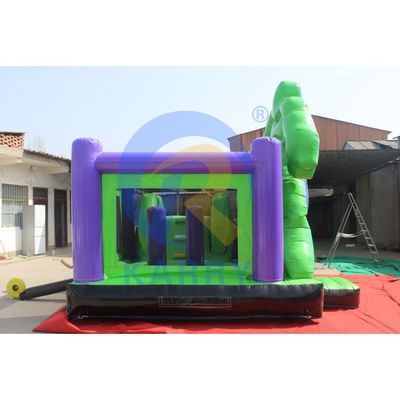 내구성 있는 PVC 펌프용 장난감