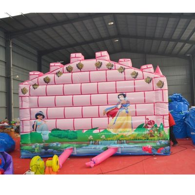 붓기 포함 어린이 공주 상업용 PVC 붓기 바운서 튀기 성