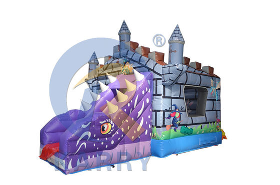 특징 PORTABLE Kids Inflatable Dry Jumper 슬라이드와 카멜레온이 있는 반짝이는 성
