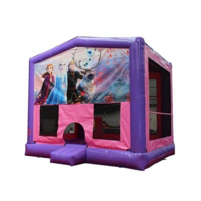 휴대용 특징 붓기 성 PVC 튀기 집 어린이 재미 시간을위한 점프 슬라이드