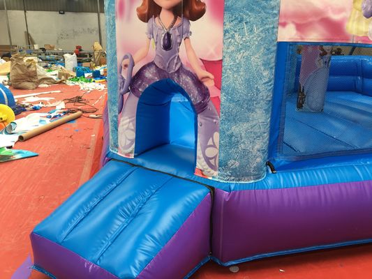 핫 프린세스 파티 슬라이드 PVC 상용 놀이터 장비와 함께 점프 성